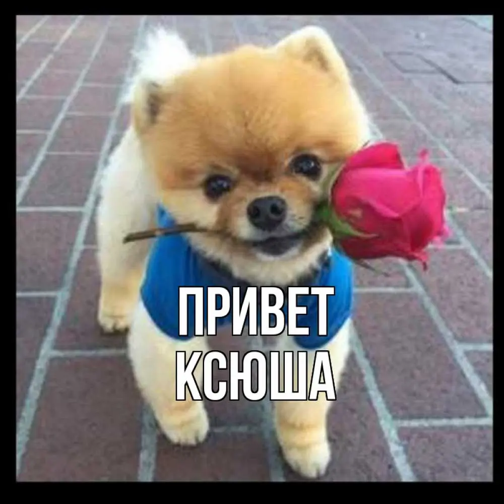 1765754364034.webp