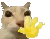hi-otag.webp