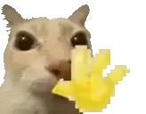 1773942189634.webp