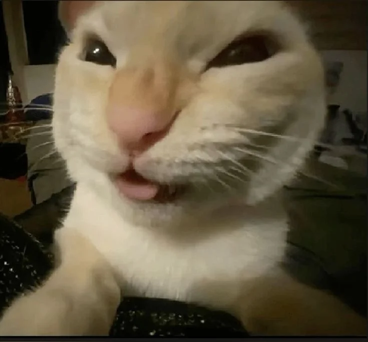 Muejejeje.webp