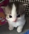 1771616587642.webp