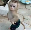 1771998341633.webp