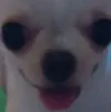 1777307697319.webp