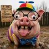 file_00000000ee2c71f488bed6fe48c4ba6c.webp