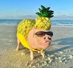 i (11) (14).webp