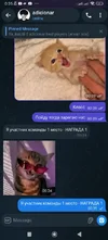 1786575281609.webp