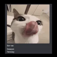 Abibastik