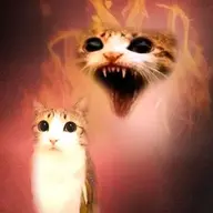 pawwnt