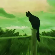 EH0TIK