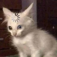 kibutsuji