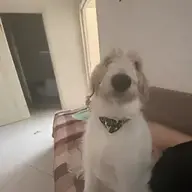 xopekqq2