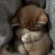 moresexlesssleep