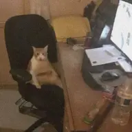 qwizzmi