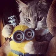 evelinaaa